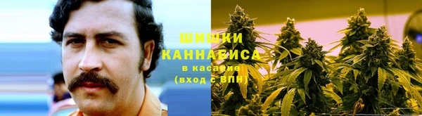 крисы Киренск