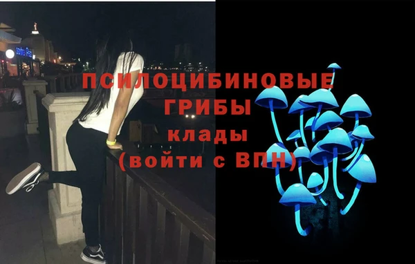 mdpv Кинешма
