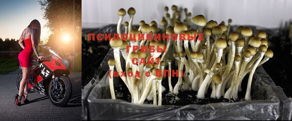 экстази Киреевск