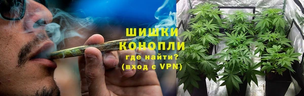 крисы Киренск